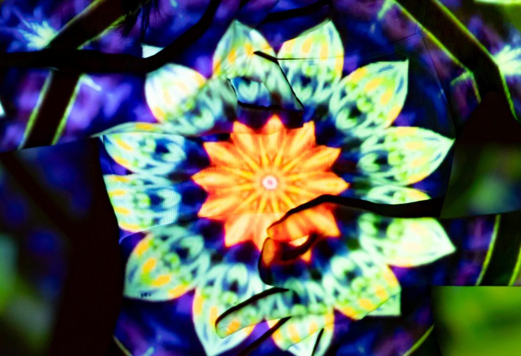 pexels-photo-6932061-6932061 A dynamic and colorful kaleidoscopic mandala art projected onto a woman's silhouette, creating a surreal visual effect.